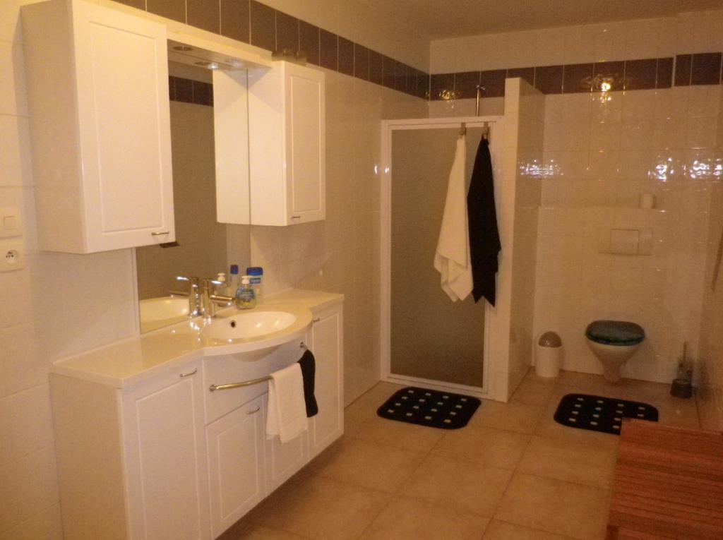 Appartement Celia Wittisheim Δωμάτιο φωτογραφία